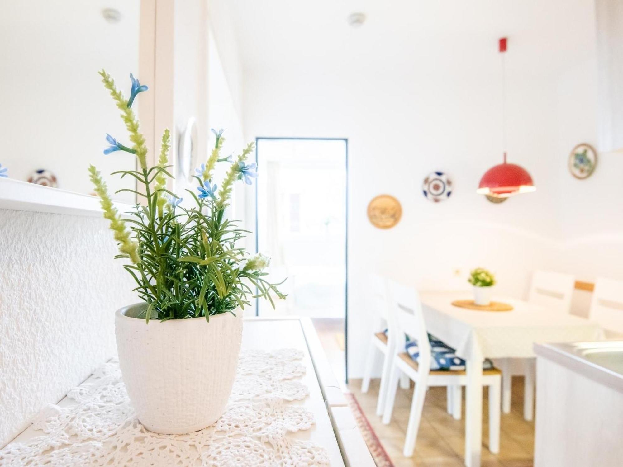 Haus Meeresblick Wohnung 24 Kellenhusen Kültér fotó